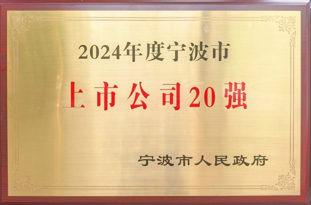 星空在线手机版(大中国区)股份荣登“2024宁波上市公司20强”榜单